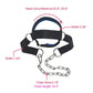 Head Neck Training Harness