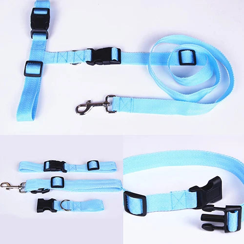 Adjustable running Dog Lead