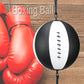 Boxing Punching Ball