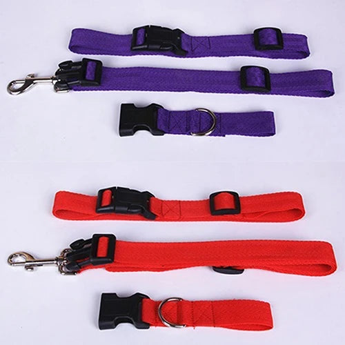 Adjustable running Dog Lead